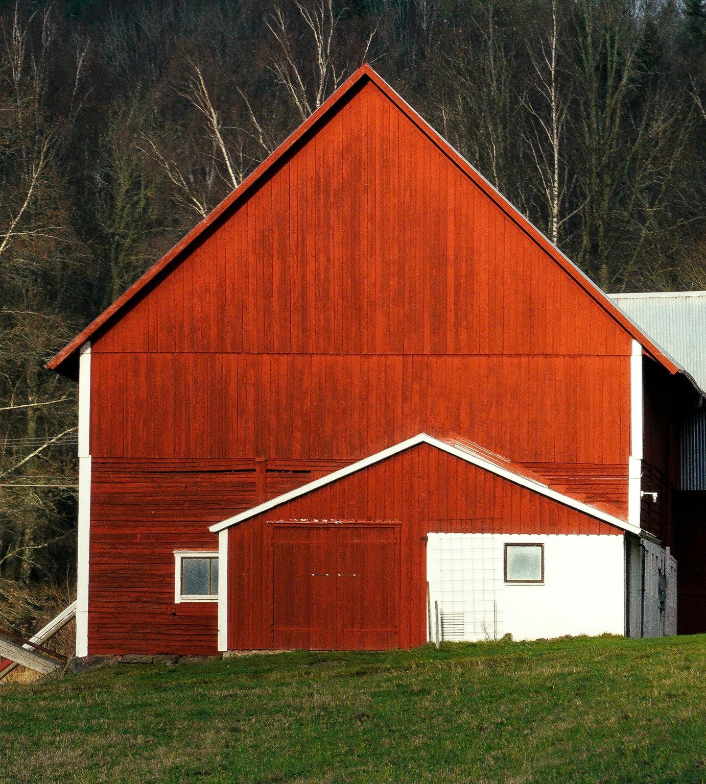 A vibrant red barn standing against a backdrop of leafless trees in a peaceful rural landscape.